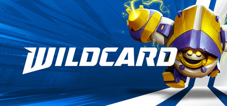 Wildcard